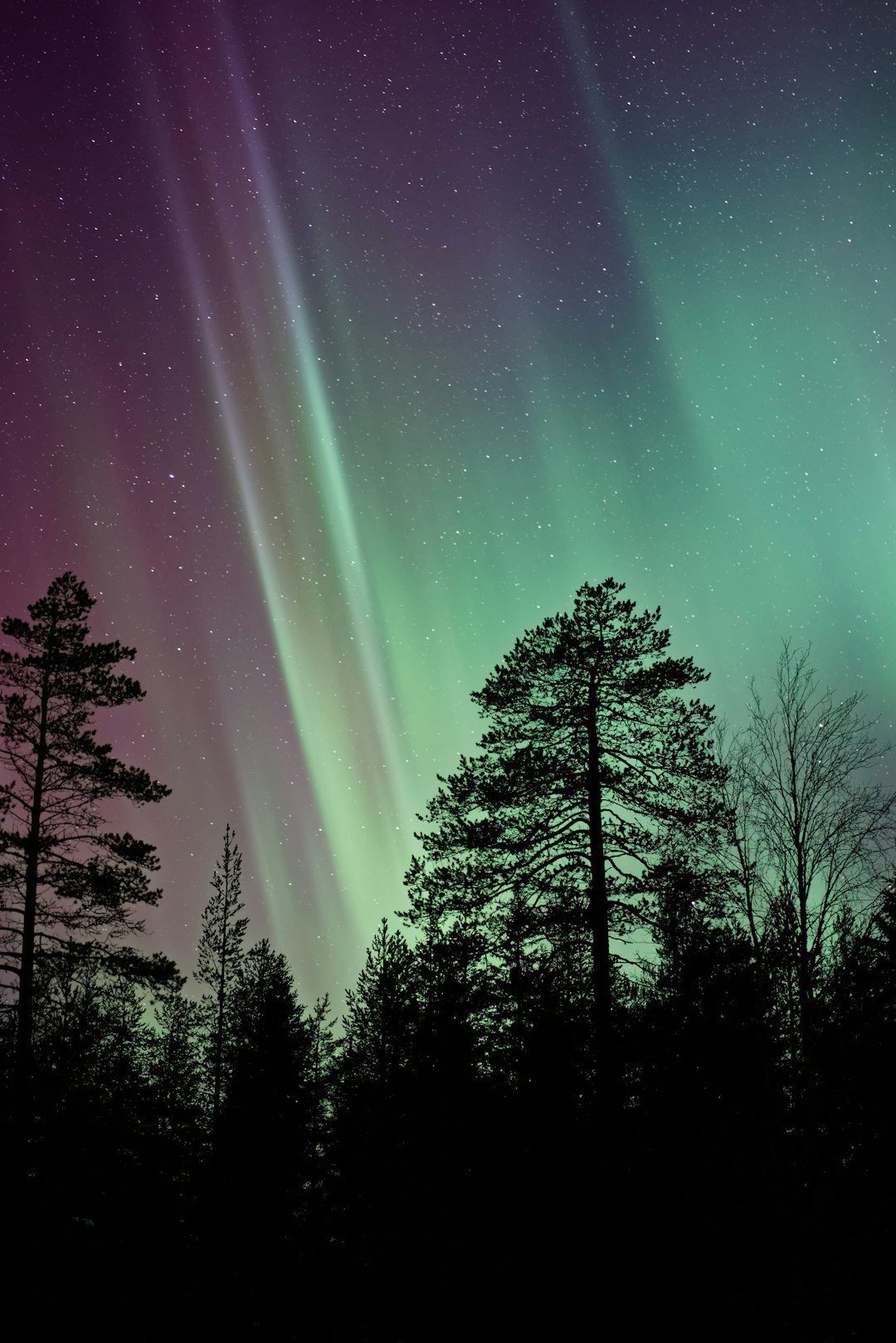 silhouette-photo-of-aurora-borealis-uhoill3huzm