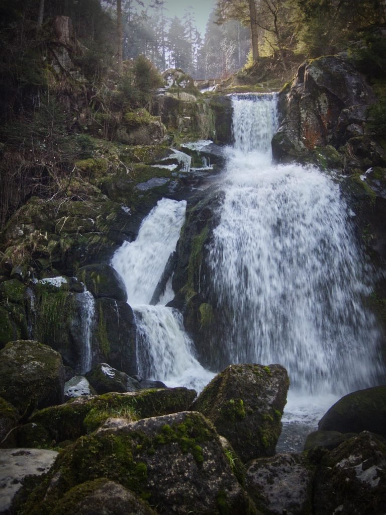 triberg-waterfall-black-forest-4984171 triberg, waterfall, black forest, torrent, rush, moss, flow, force of nature, cascade, landscape, water falls, nature, germany, waterfall, waterfall, waterfall, waterfall, waterfall, water falls