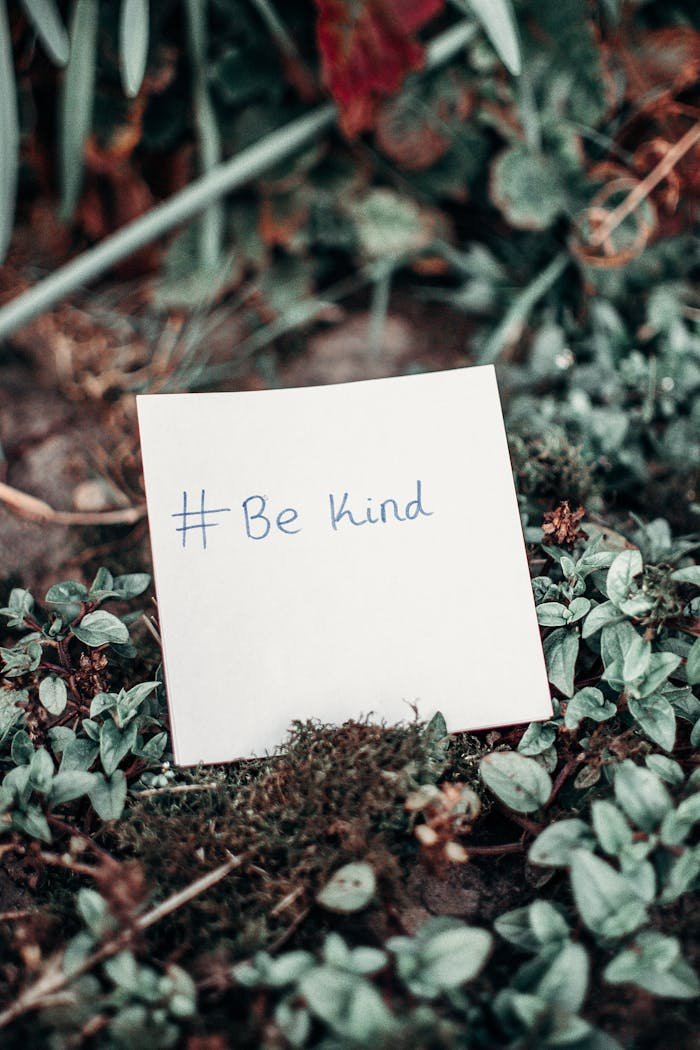 Close-up of an inspirational note with Be Kind hashtag placed on lush green grass.